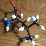 CV